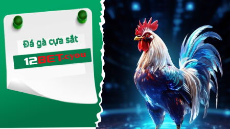 Đá gà cựa dao, kịch tính đến nghẹt thở.